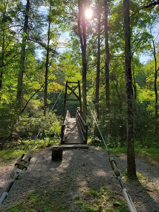 Blue Bend Campground 5