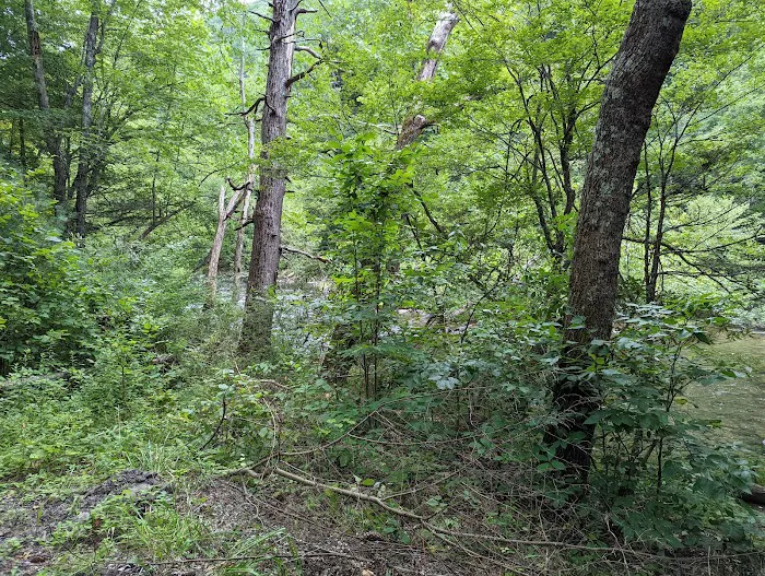 Blue Bend Campground 6