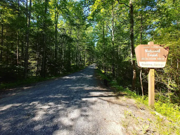 Bubbling Springs Day Use Area (recgovnpsdata) 4