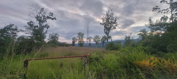 McClintic Point Primitive Campground 6
