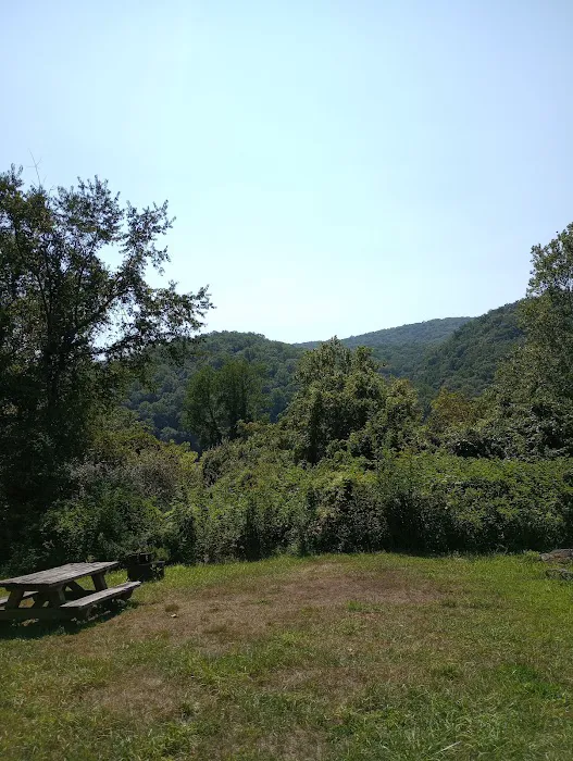 McClintic Point Primitive Campground 8