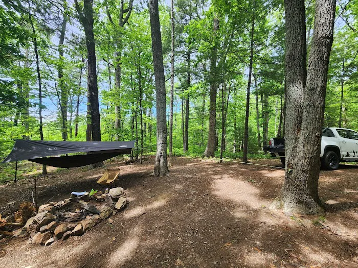 Washington/Jefferson National Forest - campsite 2