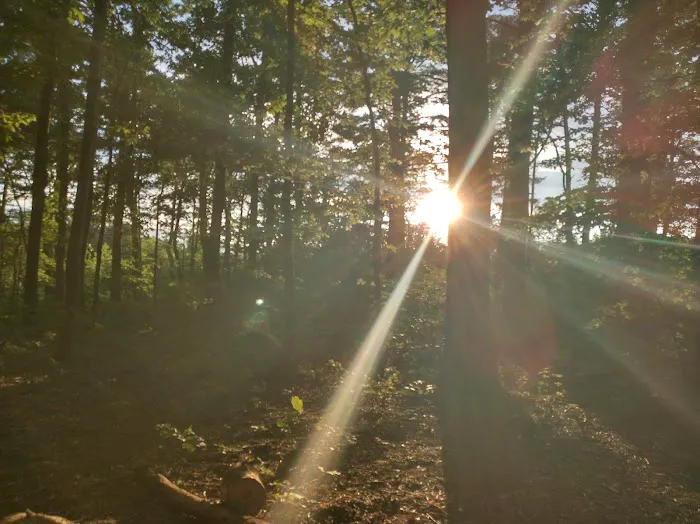 Washington/Jefferson National Forest - campsite 1