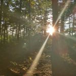 Washington/Jefferson National Forest - campsite