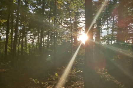 Washington/Jefferson National Forest - campsite