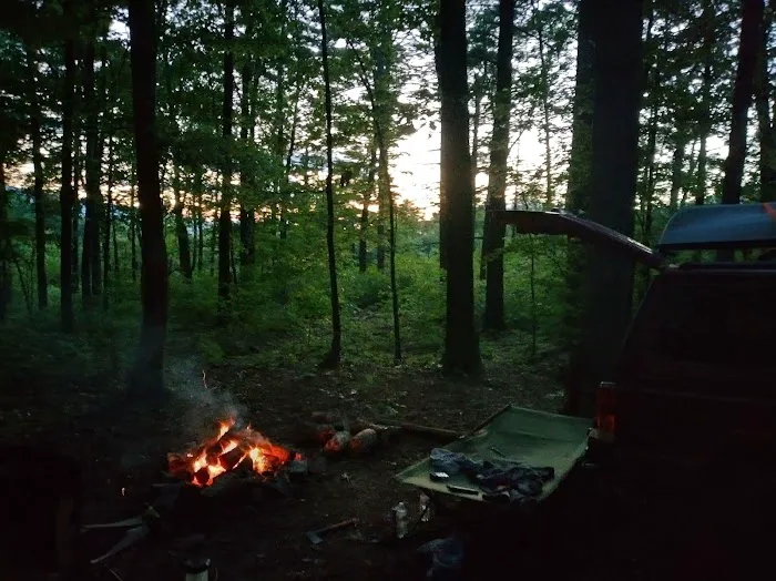 Washington/Jefferson National Forest - campsite 7
