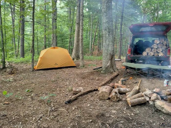 Washington/Jefferson National Forest - campsite 6