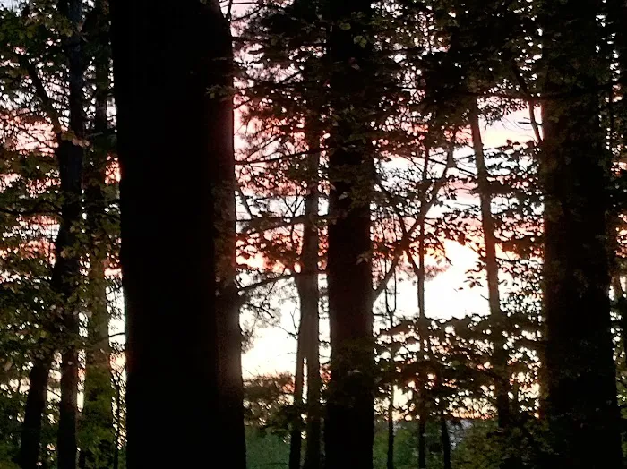 Washington/Jefferson National Forest - campsite 9