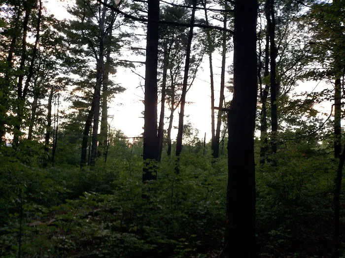 Washington/Jefferson National Forest - campsite 5
