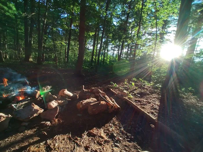 Washington/Jefferson National Forest - campsite 4