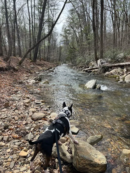Otter Creek Campground 2