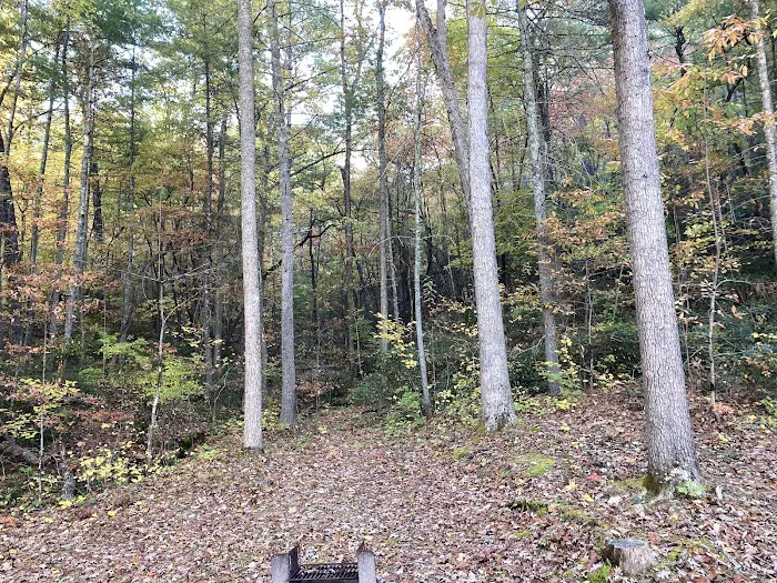 Otter Creek Campground 8