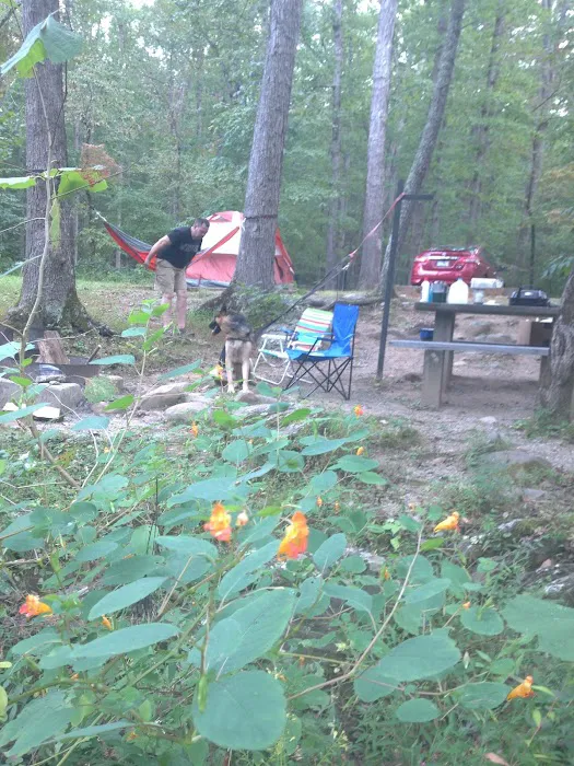 Otter Creek Campground 10
