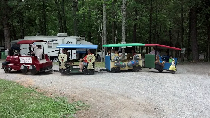 Lynchburg / Blue Ridge Parkway KOA Holiday 10