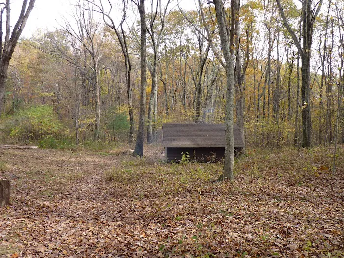 Punchbowl Shelter 3