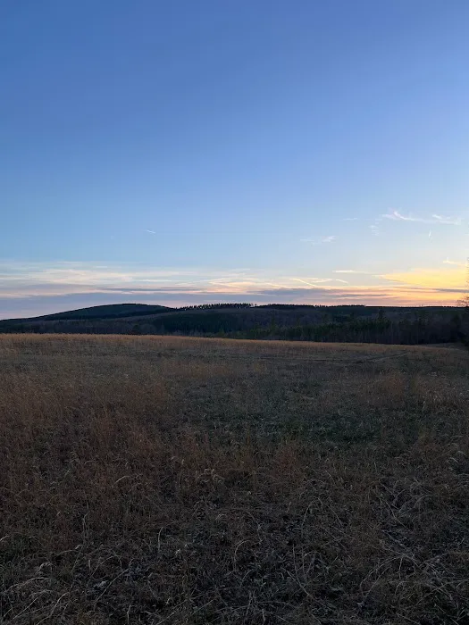 Camp McFender 2