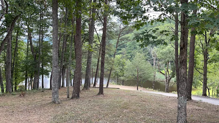 Historic Cold Sulphur Springs Campground 5