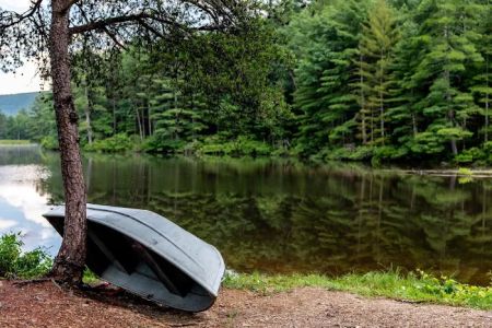 Historic Cold Sulphur Springs Campground