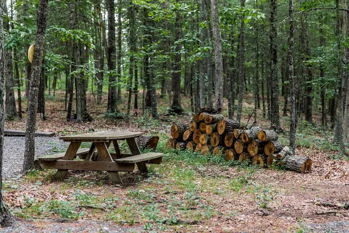 Historic Cold Sulphur Springs Campground 2