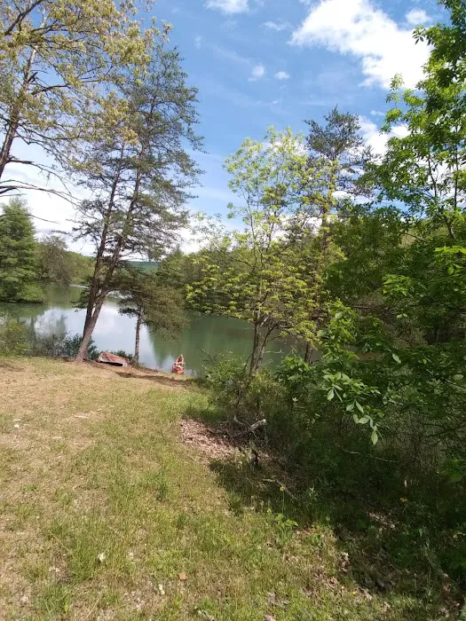 Historic Cold Sulphur Springs Campground 9