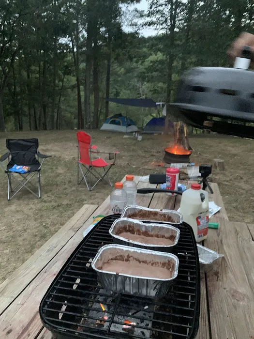 Historic Cold Sulphur Springs Campground 8