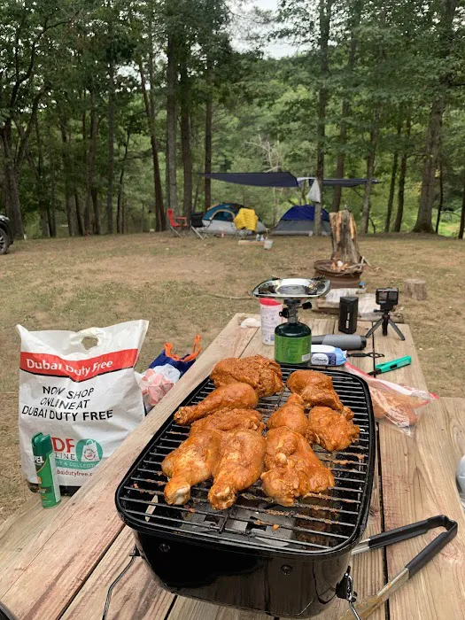 Historic Cold Sulphur Springs Campground 10