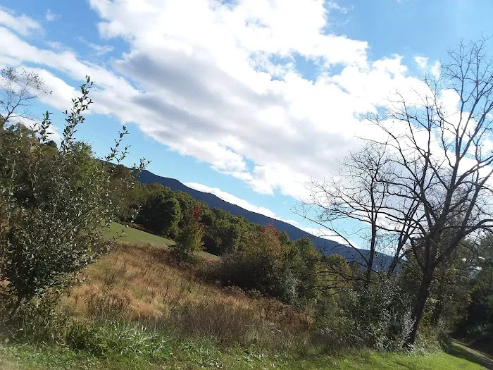 Camp ACCOVAC 7