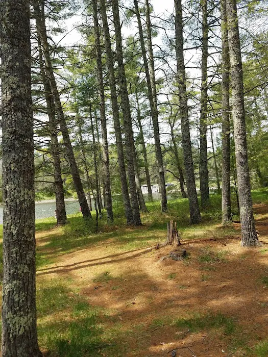 Lake Sherwood Recreation Area 8