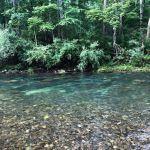 Blowing Springs Campground