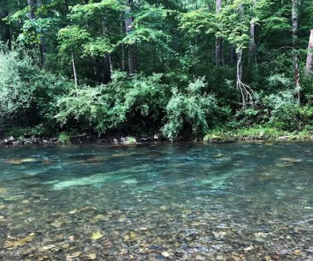 Blowing Springs Campground
