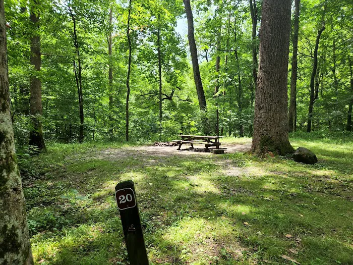 Blowing Springs Campground 2