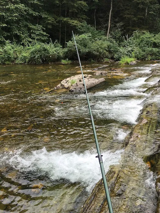 Blowing Springs Campground 5