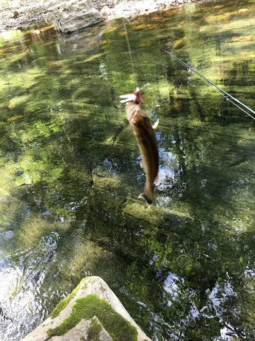 Blowing Springs Campground 9