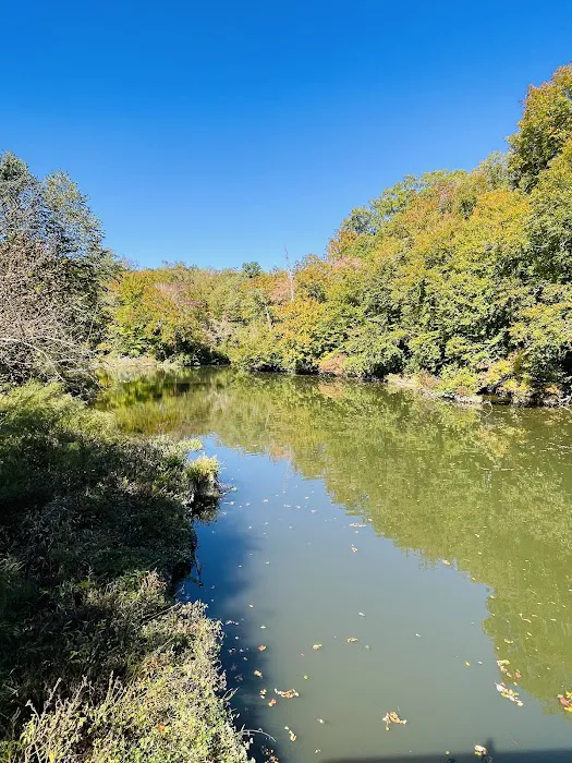 Pocahontas Campground 5