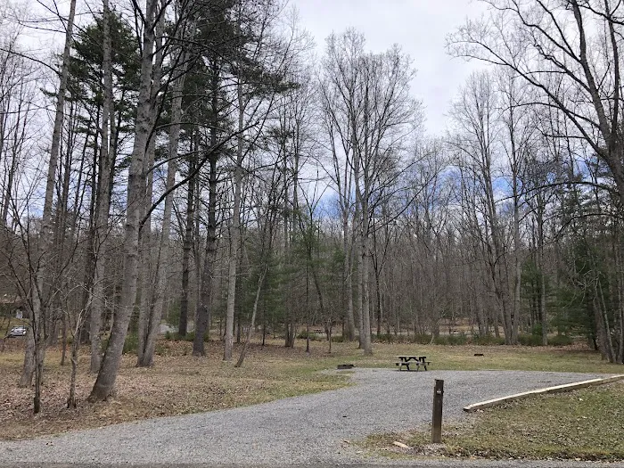 Riverside Campground 6