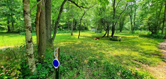 River Trail Hollow Campground 5