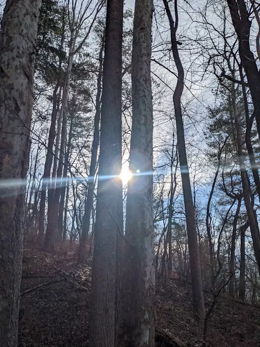 Glen Maury RV Park & Campground 6