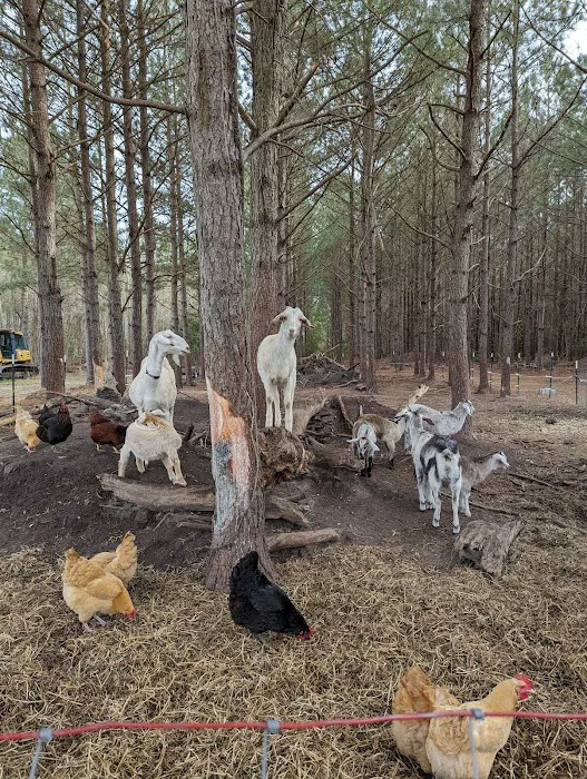 Farm Country Campground 10