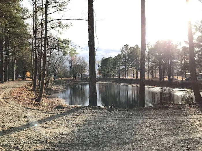 Treeside RV Park 6