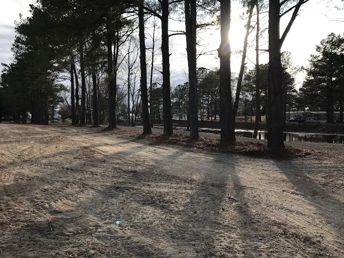 Treeside RV Park 5