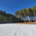 Ross’ Paradise Park