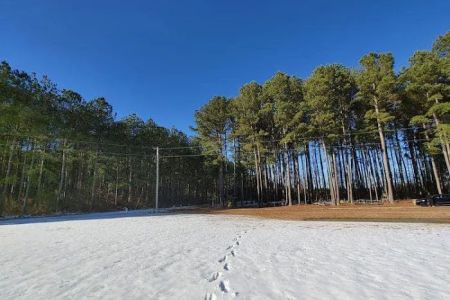 Ross’ Paradise Park