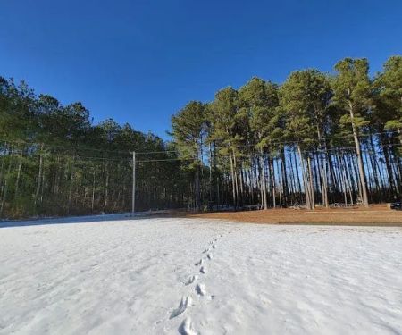 Ross’ Paradise Park