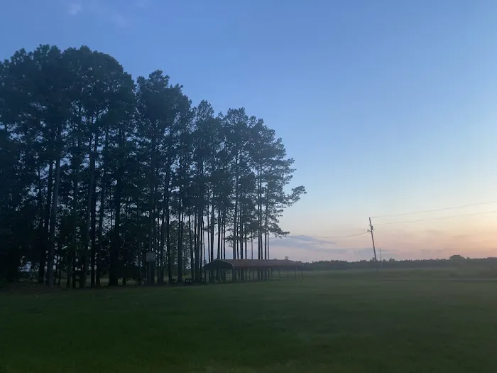 Ross’ Paradise Park 6