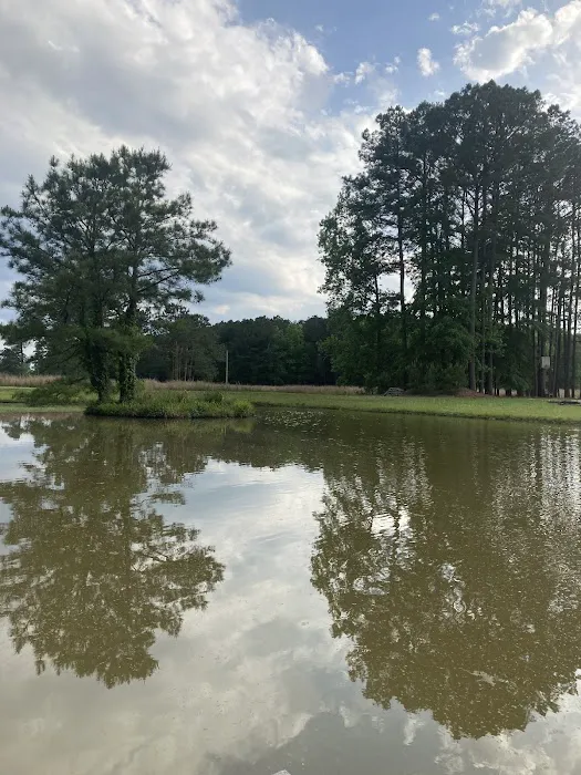 Ross’ Paradise Park 10