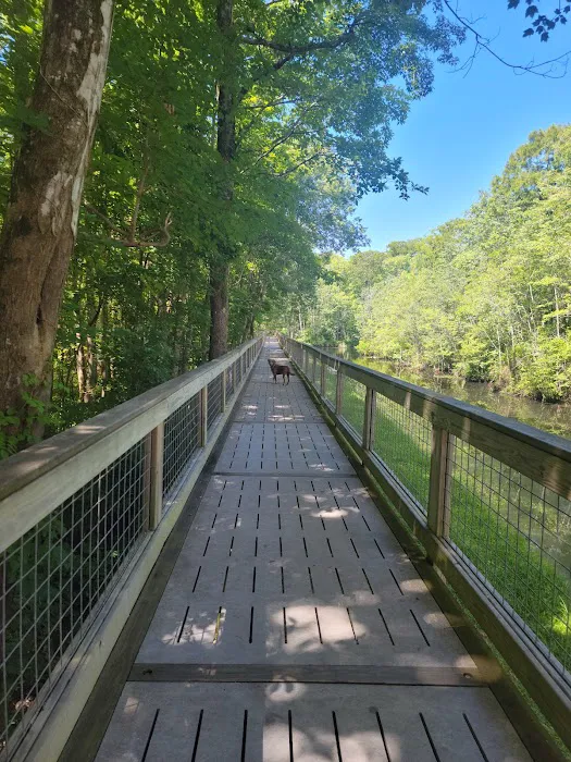 Cashie River Treehouse Village 2