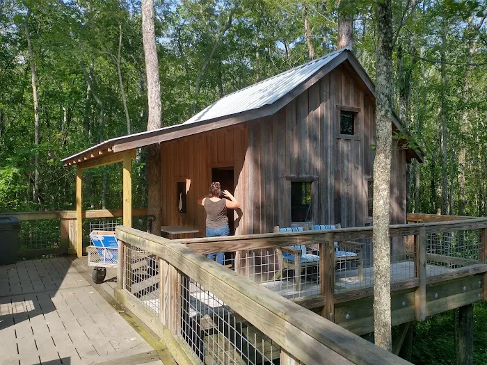 Cashie River Treehouse Village 1