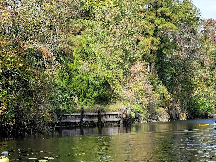 Cashie River Treehouse Village 5