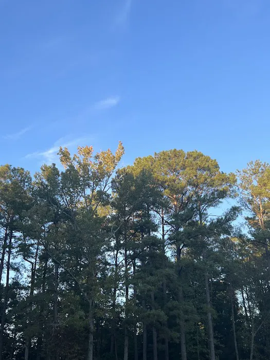 Cattail Creek Campground 9