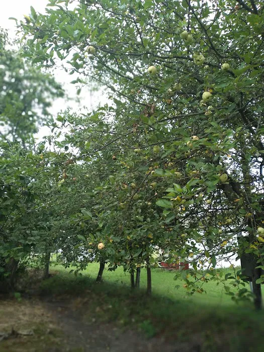 Green Acres Family Campground 10